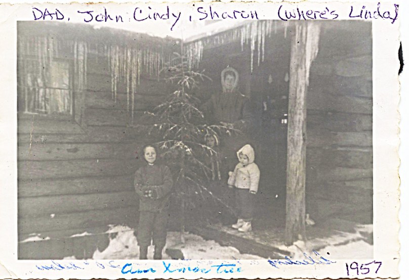 1957 First Alaskan Christmas tree being dragged into log house without Linda's help!  Cindy's in back of the tree peeking out from between the spruce branches