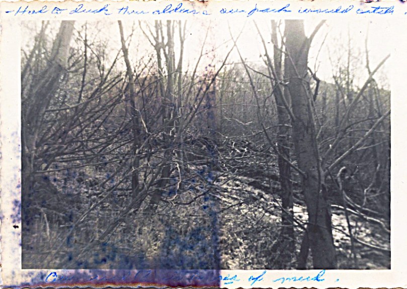 Depending on the nature and quality of our early caregiver interactions, some end up trudging along difficult trails, some end up with well built highways