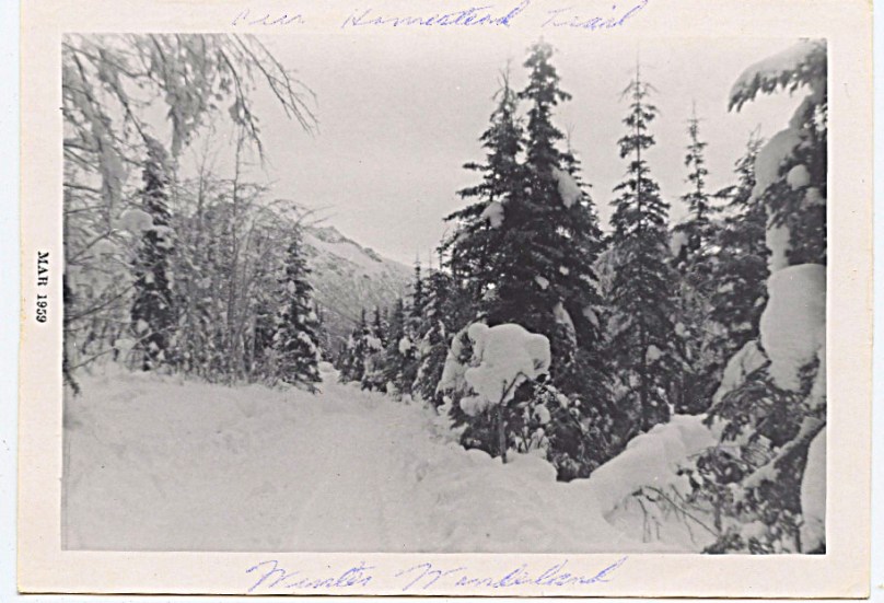 1959 - this was the 'road' that led into the valley back to where our mountain road began.  It is all a fine paved road now.  When I went back this summer of 2009 I saw that even our mountian road is now paved.  Who remembers when?