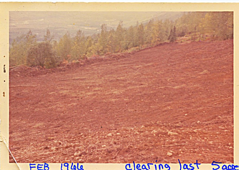 1966 February clearing the last 5 acres for title to the last 40 acres