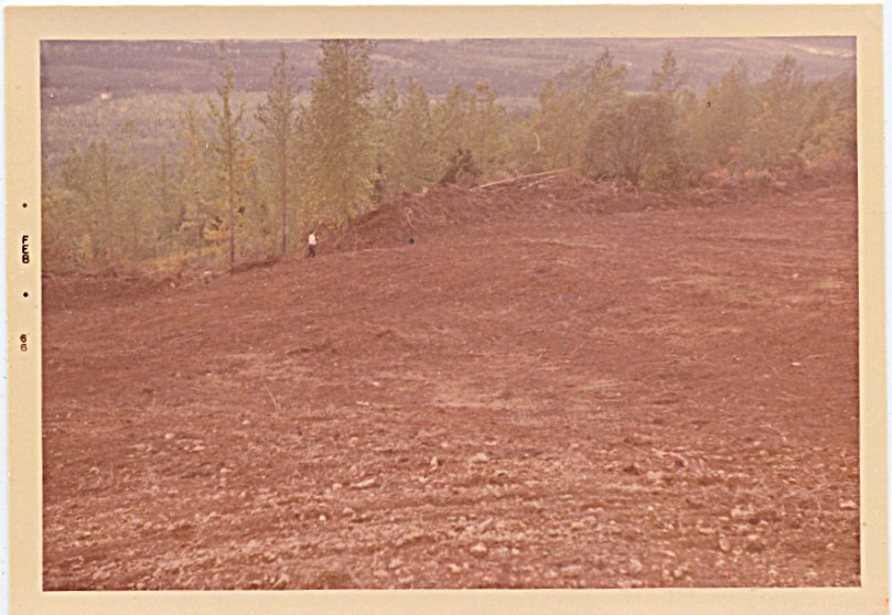 1966 - the final field.  I loved walking the field