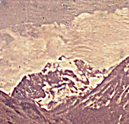 My Angel on the Mountain.  She has her wings spread out to her sides, her long white gown draping over the mountain.  Her head is tipped slightly to her right.  She has a halo.  I could never as a child imagine anything or anyone more beautiful.  If my mother had imaginary friends, and me her imaginary enemy -- if she was completely mixed up on who and what was real, and could not tell her children from her dolls of play ----  WELL perhaps who am I but my mother's daughter -- because I HAD an angel, not a pretend angel, not an imaginary angel -- I HAD AN ANGEL.  She was MY angel.  Right there on that mountain top.