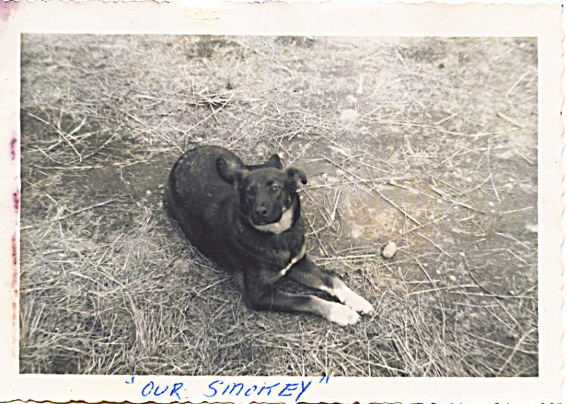 Somey - Our wonderful family dog -- I know we still had her by fall 1963