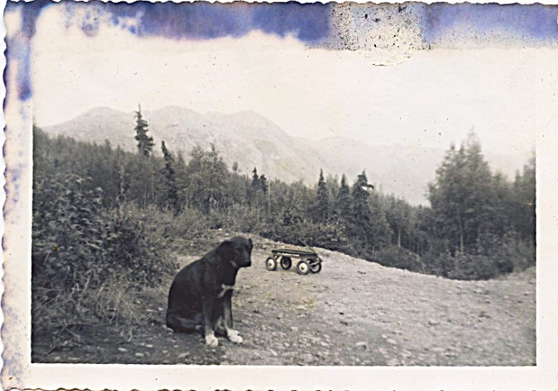 circa 1960 Smokey - part of our family, kenneled fall of 1963 when we were in Santa Fe