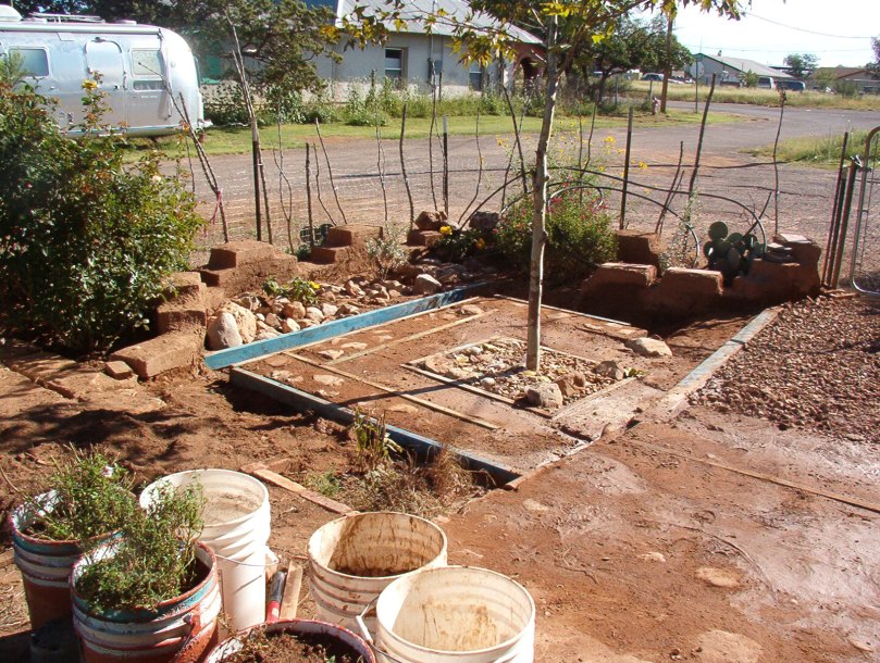 0910 front tree wider view