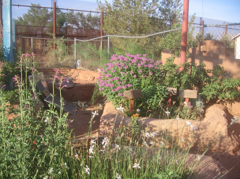 07052012MoreGarden 002