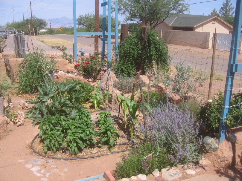 07052012MoreGarden 008