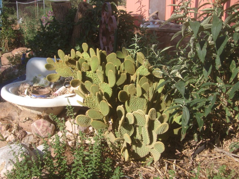 07052012MoreGarden 015