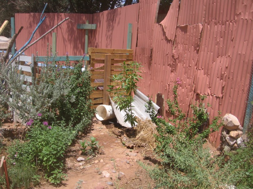 07052012MoreGarden 022 So the water ends up on another of the new trees