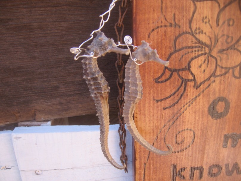 07052012MoreGarden 029