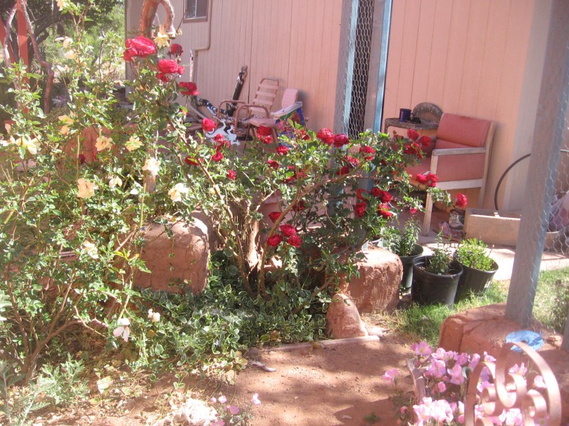 042213 back red chair