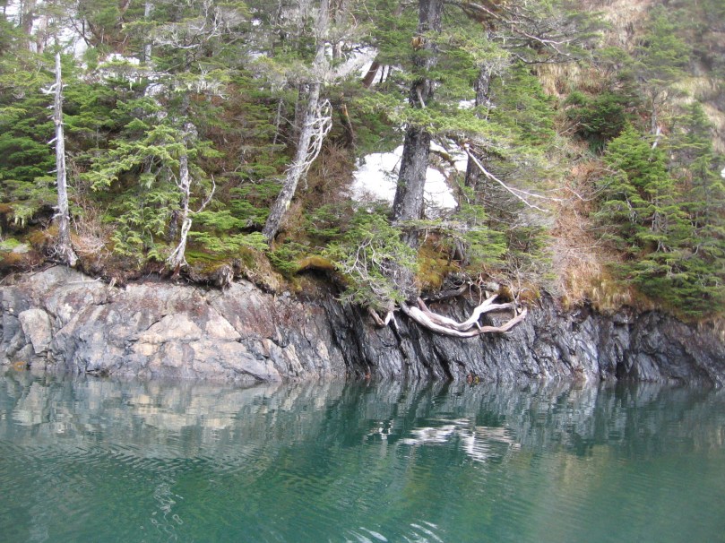 06 2013 alaska shoreline 11