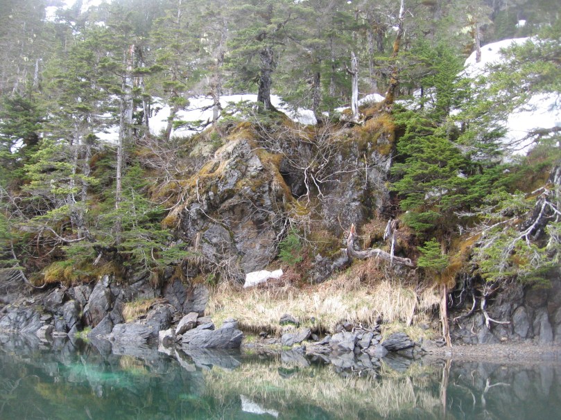 06 2013 alaska shoreline 6