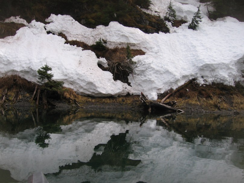 06 2013 alaska shoreline 8