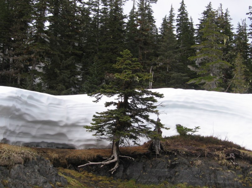 06 2013 alaska snowbank 2