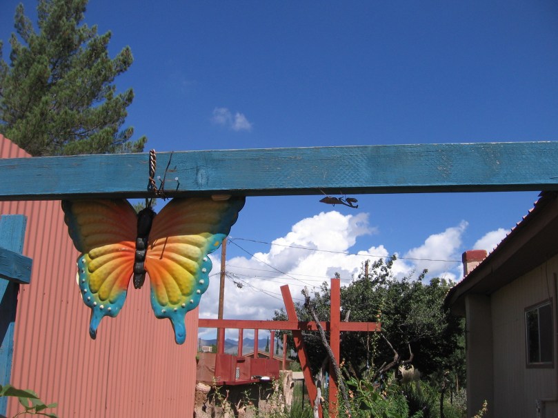 last az plus weaving BIG MANTIS COC 1 2014 020