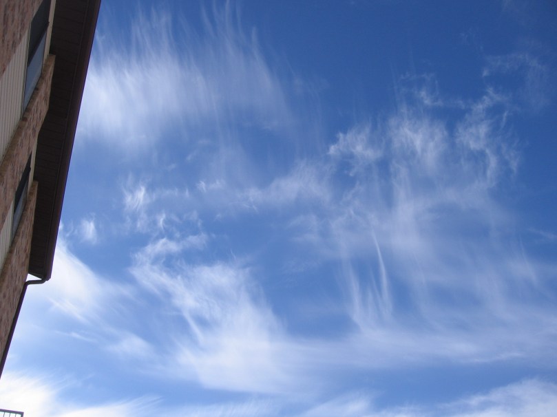 dance clouds 2 2014 all 011